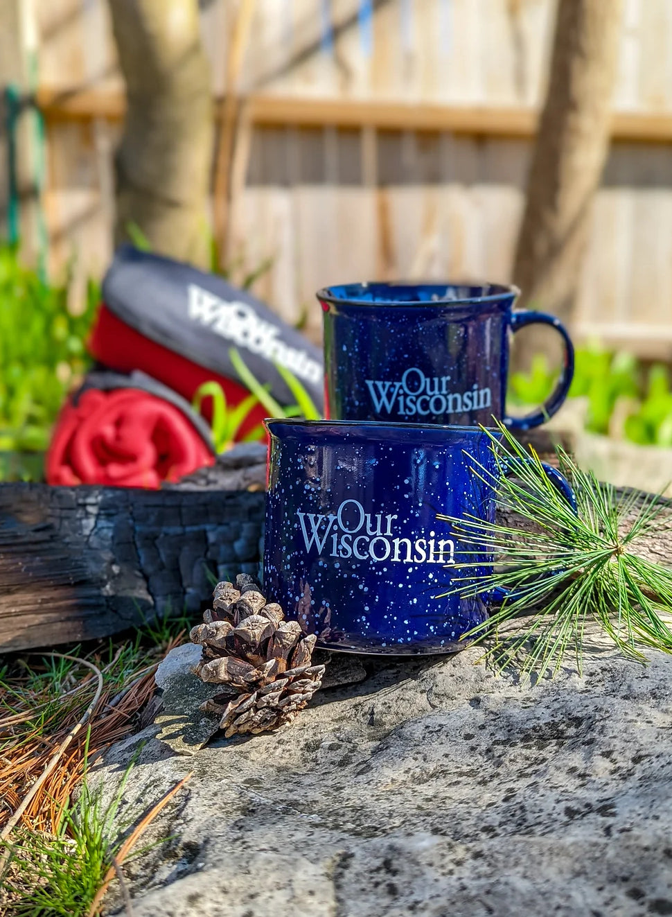 Our Wisconsin "campfire mug"