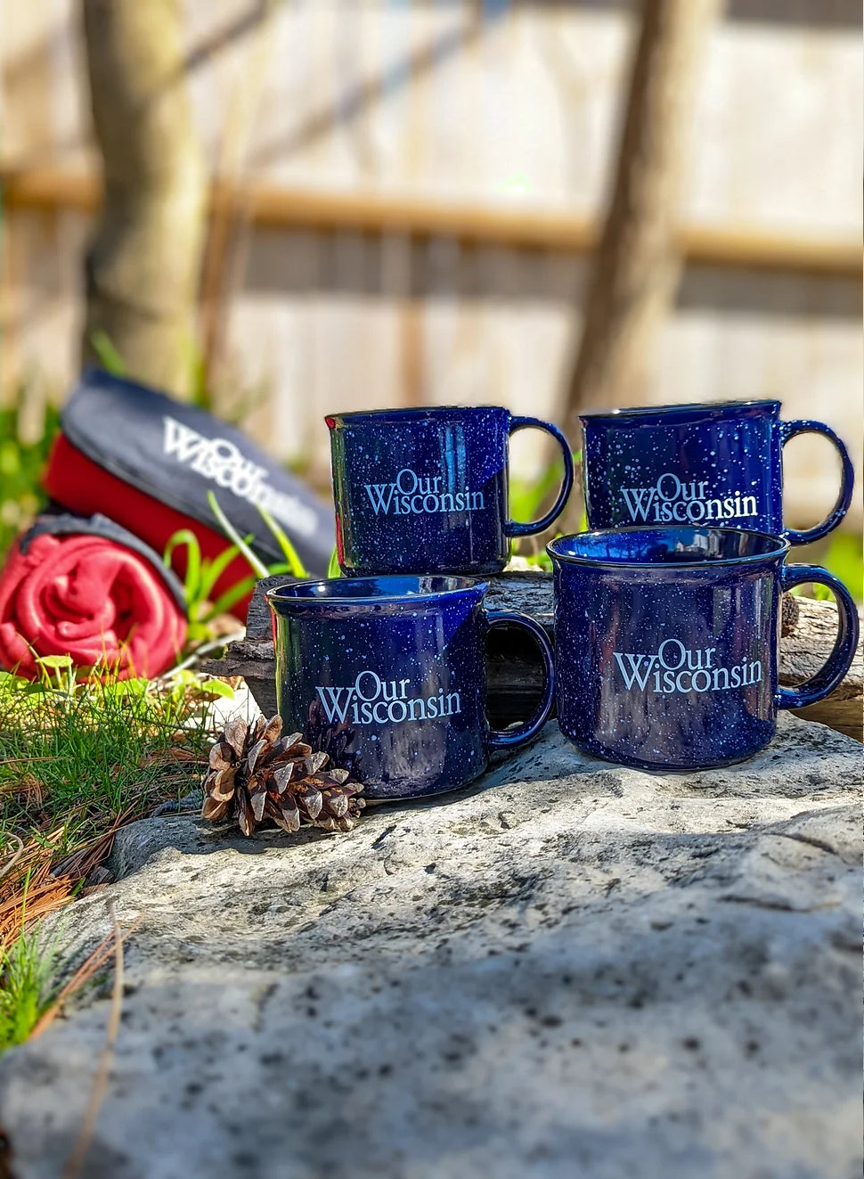 Our Wisconsin "campfire mug"