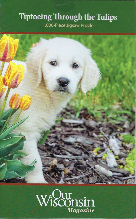 Tiptoeing Through the Tulips 1,000