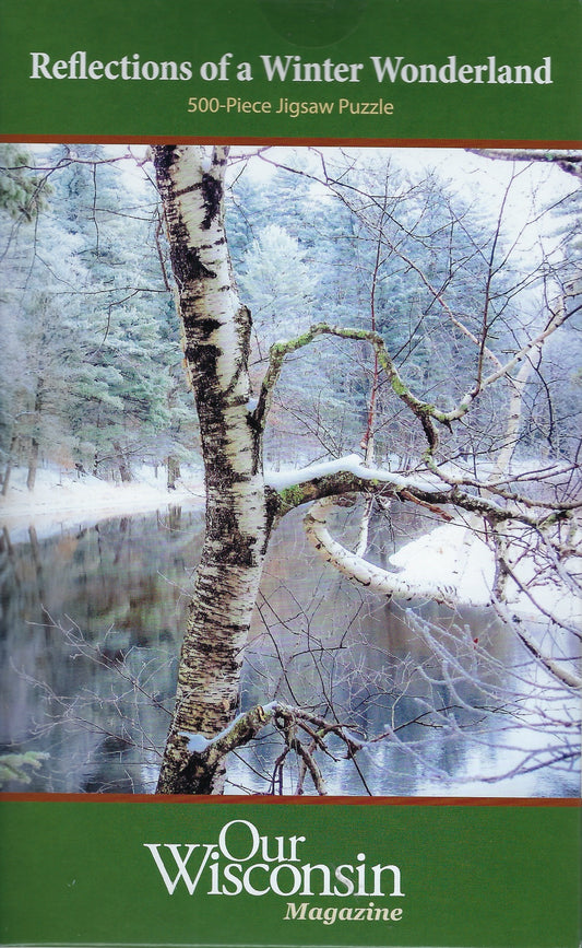 Reflections of a Winter Wonderland 500