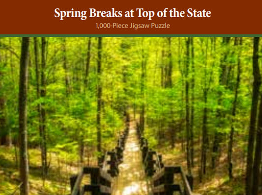 500 Spring Breaks at Top of the State